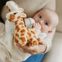 Load image into Gallery viewer, Bottle Buddies - Giraffe Plush Starter Kit
