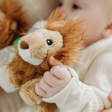 Load image into Gallery viewer, Bottle Buddies - Lion Plush Starter Kit
