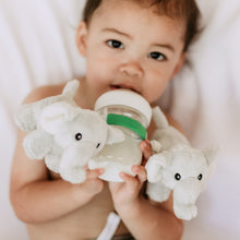 Load image into Gallery viewer, Bottle Buddies - Elephant Plush Starter Kit
