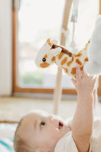 Load image into Gallery viewer, Bottle Buddies - Giraffe Plush Clip